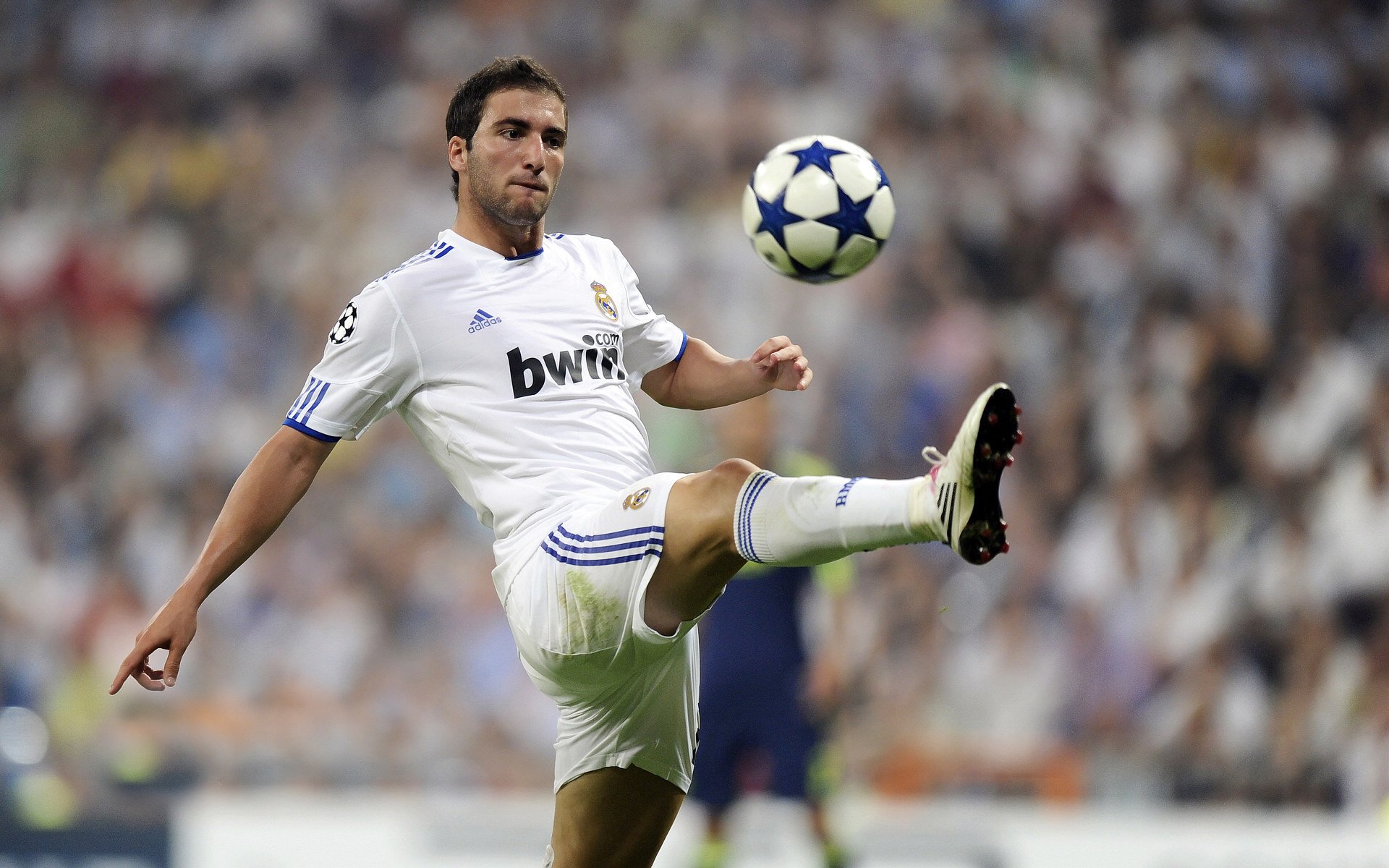 明星对决：张伟砍下31分，场上如日中天！，明星看张伟丽比赛